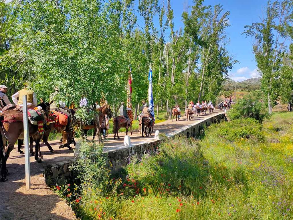 Camino Romería Virgen de la Cabeza