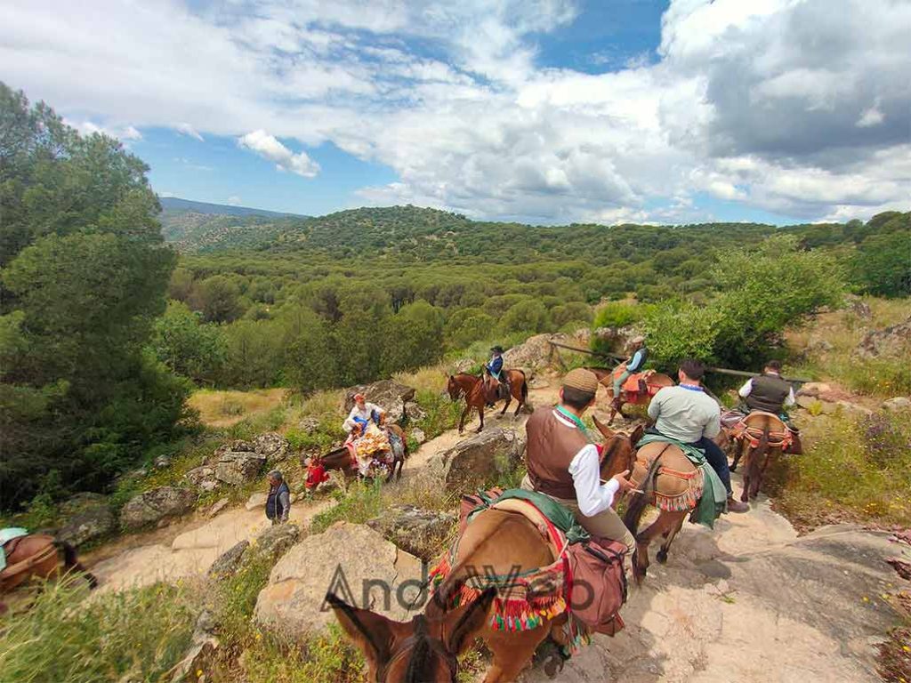 Camino Romería Virgen de la Cabeza