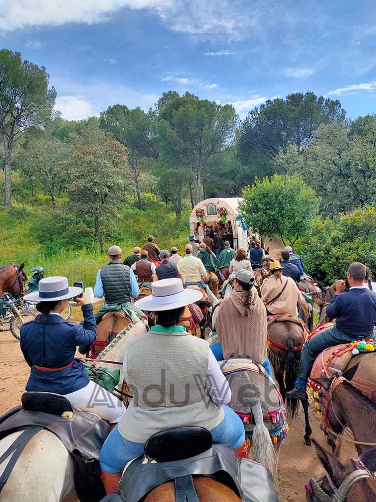 Camino Romería Virgen de la Cabeza caballos y mulos